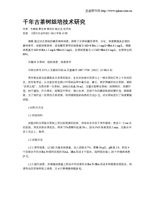 千年古茶树组培技术研究