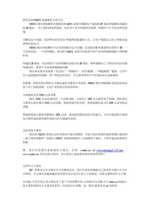 国内首创NDNS智能解析介绍方法