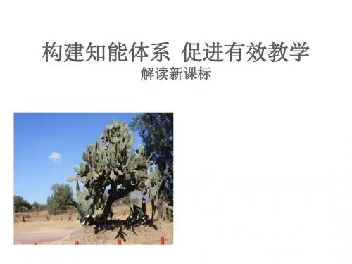 小学数学下册新课标及教材培训