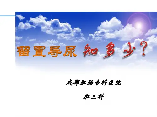 留置导尿知多少(讲义)详解