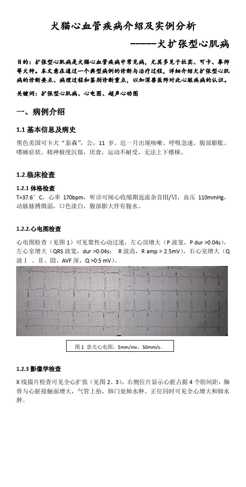 犬猫心血管疾病介绍及实例分析 犬扩张型心肌病 张志红