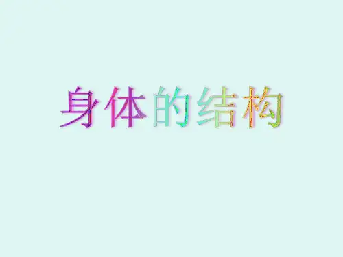 《身体的结构》 PPT课件 (2)