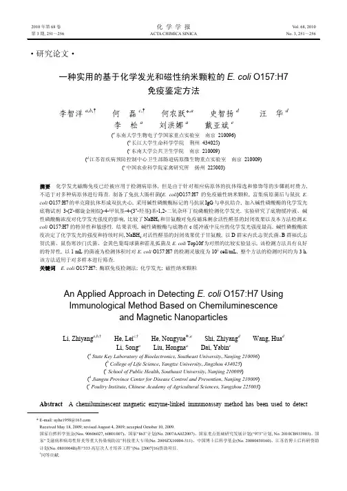 磁珠-化学发光检测Ecoli