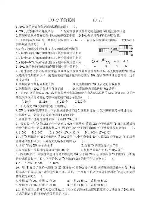 DNA分子的复制         练习题