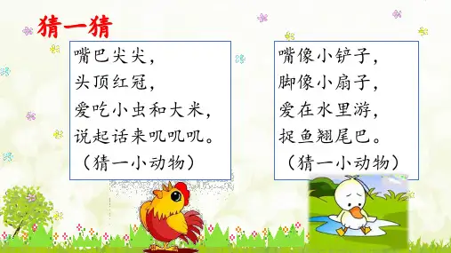 部编版语文一年级下册课文《小公鸡和小鸭子》