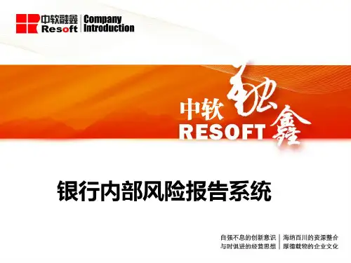 银行全面风险管理系统框架.