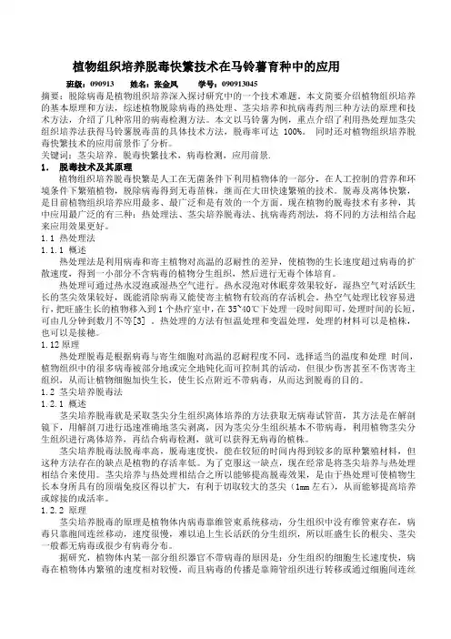 植物组织培养脱毒快繁技术在马铃薯育种中的应用