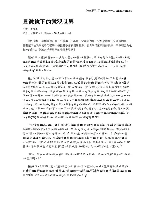 显微镜下的微观世界