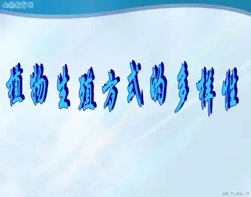 科学七年级下浙教版3.6植物生殖方式的多样性课件.ppt