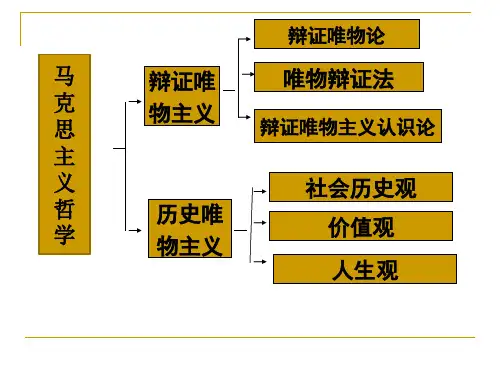 第十一课 寻觅社会的真谛