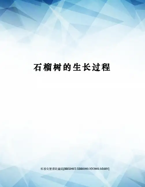 石榴树的生长过程