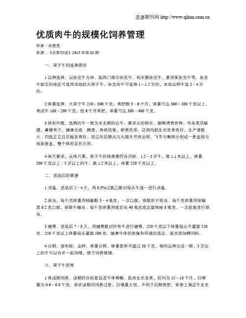 优质肉牛的规模化饲养管理
