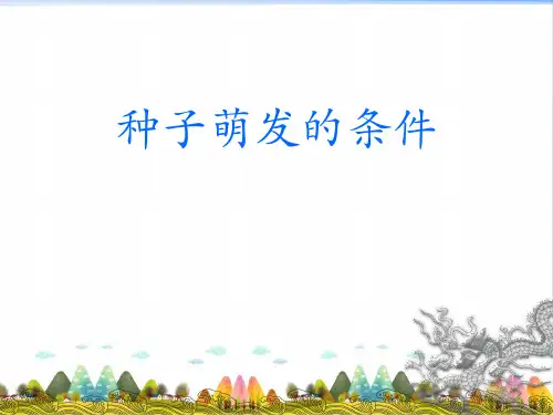 《种子萌发的条件》PPT完美课件_北京课改版