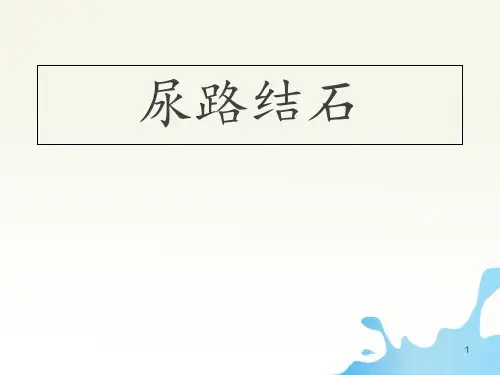 尿路结石【泌尿内科】  ppt课件