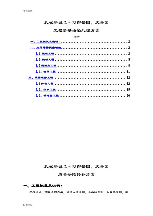 缺陷修补方案设计(定)