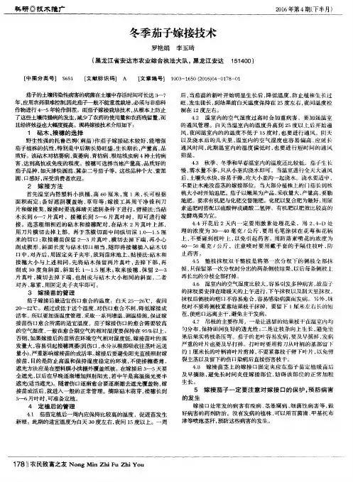冬季茄子嫁接技术