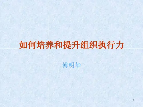 执行力如何培养和提升组织执行力(PPT43页).pptx
