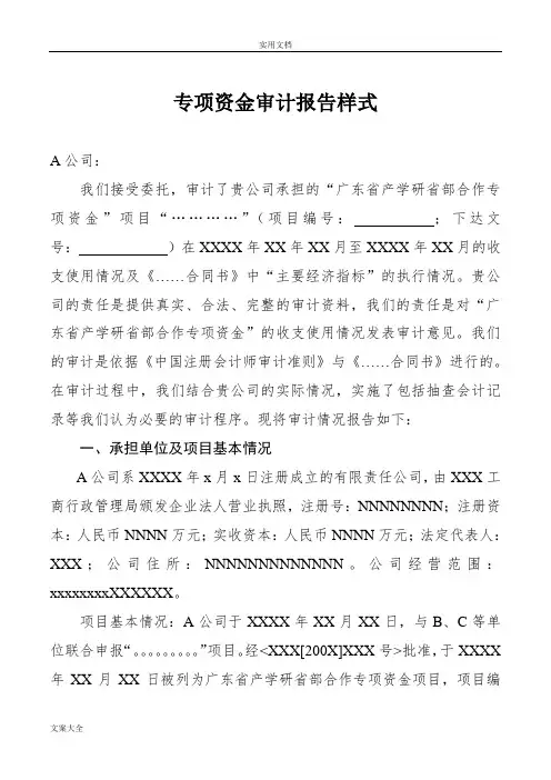 专项资金审计报告材料样式