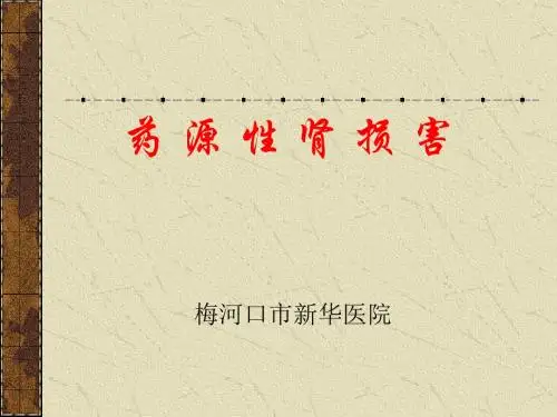药源性肾损害-精美PPT