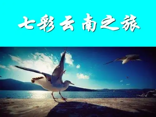 七彩云南之旅