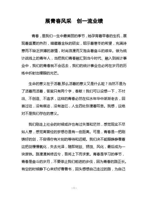 展青春风采 创一流业绩(统计演讲稿)