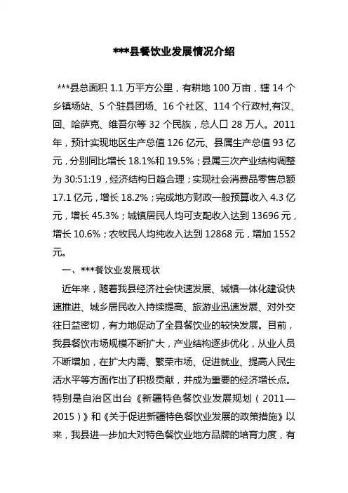 县餐饮业发展情况汇报