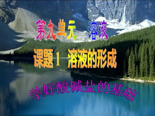 人教版九年级化学下册《溶液的形成》PPT课件
