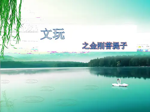 文玩之金刚菩提