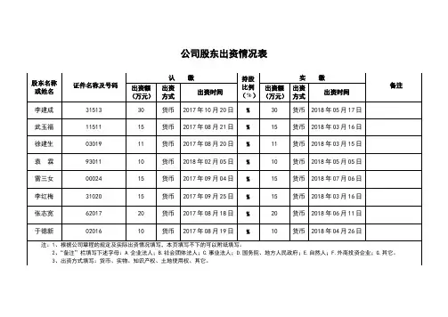公司股东出资情况表 2
