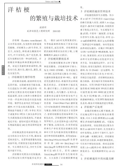 洋桔梗的繁殖与栽培技术