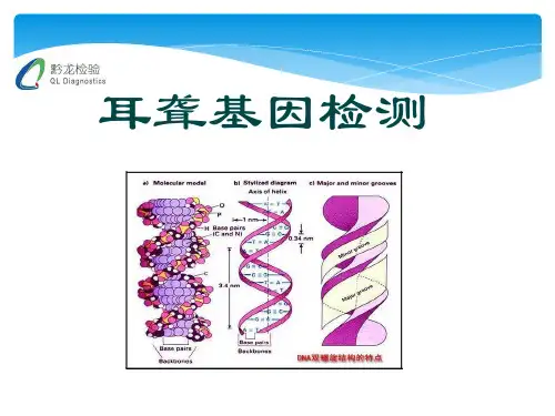 耳聋基因检测b
