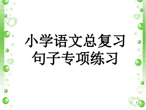 小学语文总复习句子专项练习 PPT