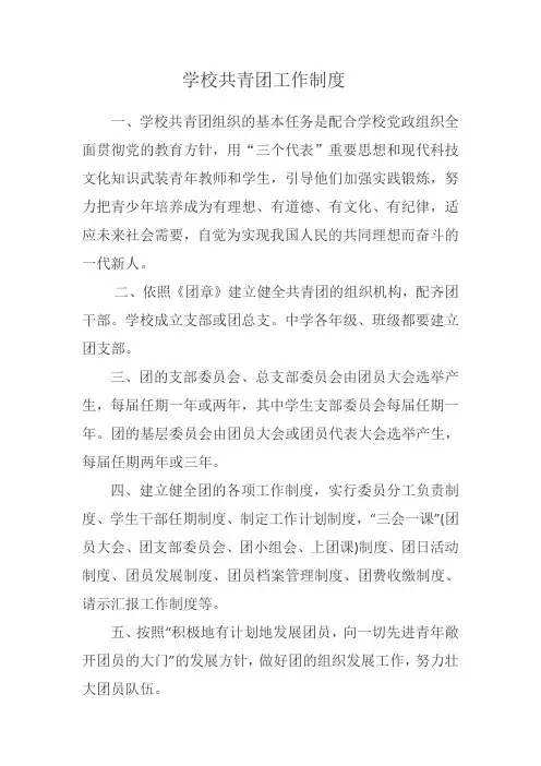 学校共青团工作制度2