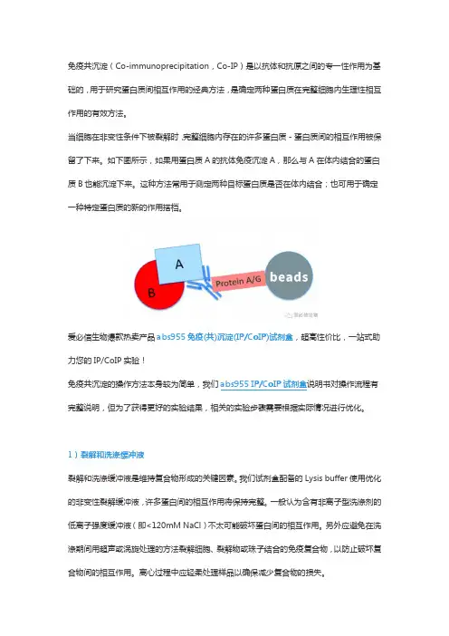免疫共沉淀Co-IP的实验优化