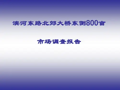 太原滨河东路北郊大桥东侧800亩市场调查报告