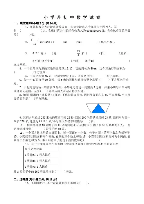 小学升初中数学试卷