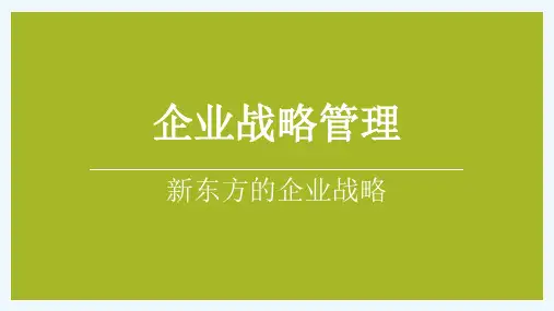 新东方集团战略管理分析