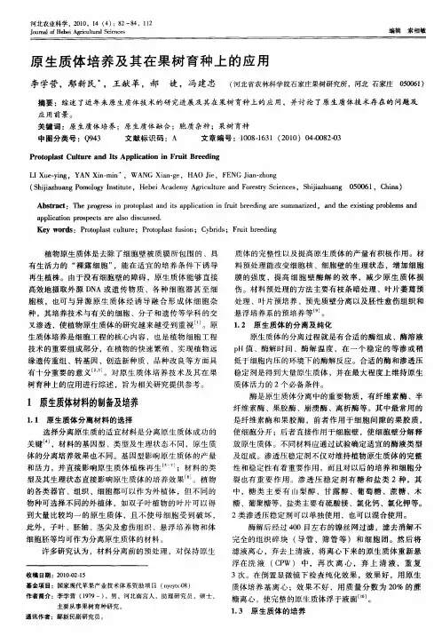 原生质体培养及其在果树育种上的应用