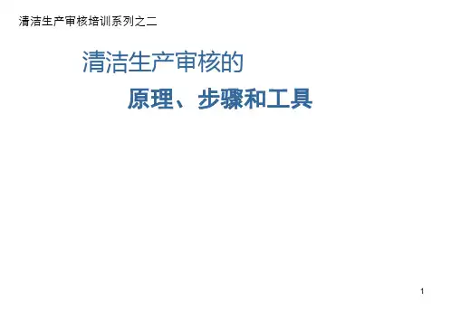 清洁生产审核培训.ppt