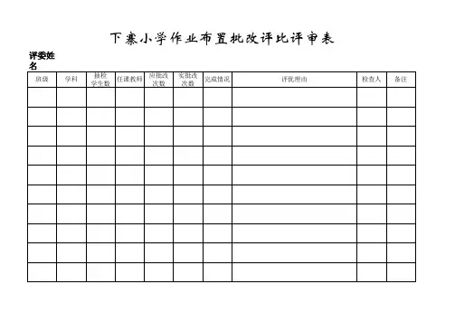 教案作业检查表