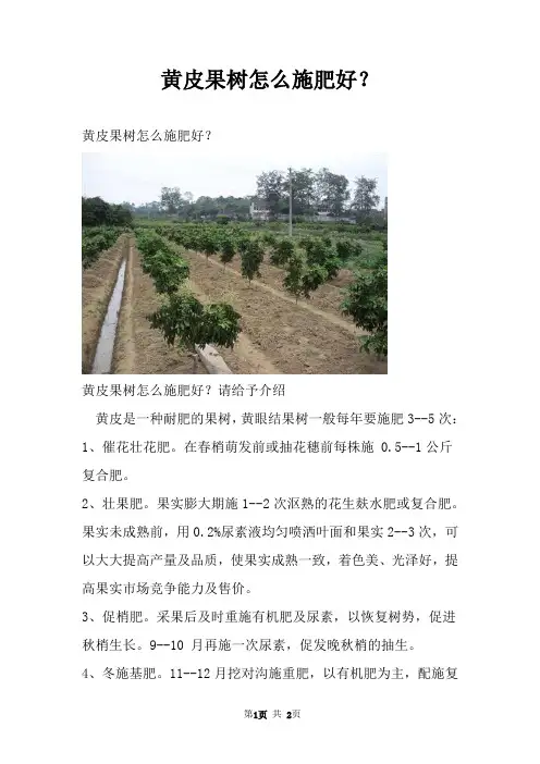 黄皮果树怎么施肥好？