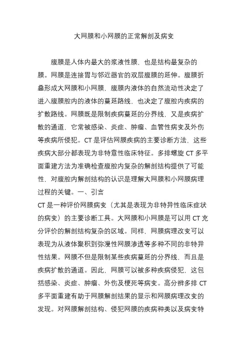 大网膜和小网膜的正常解剖及病变