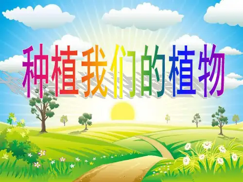 三年级下册科学课件-1.2 种植我们的植物|教科版 (共8张PPT)