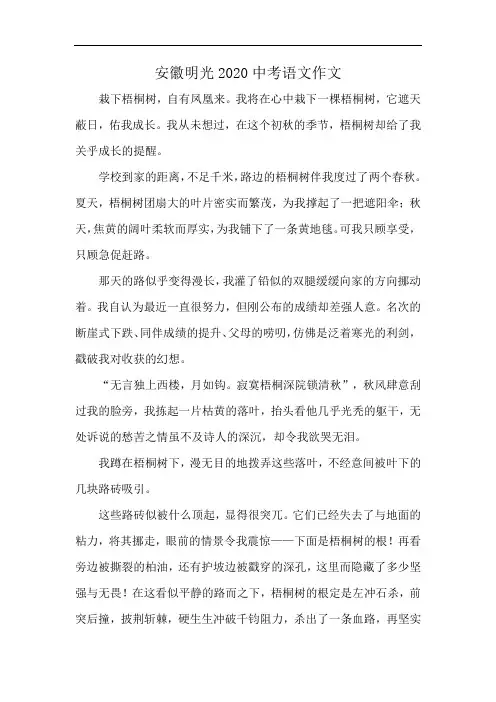 安徽明光2020中考语文作文