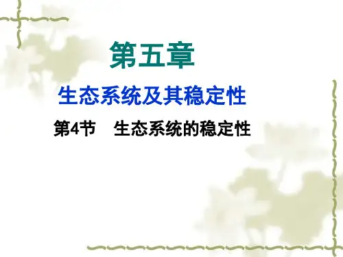 生态系统的稳定性PPT