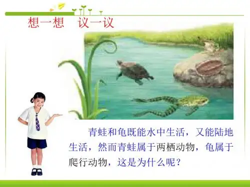 部编人教版八年级上册生物第五节《两栖动物和爬行动物》公开课课件