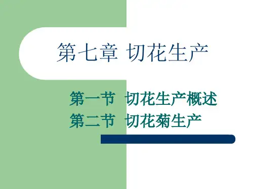 切花生产