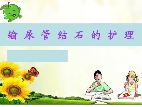 输尿管结石课件