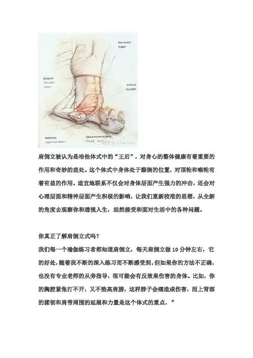 瑜伽肩倒立