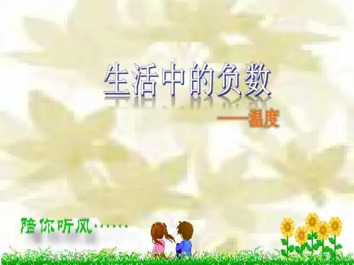 生活中的负数温度
